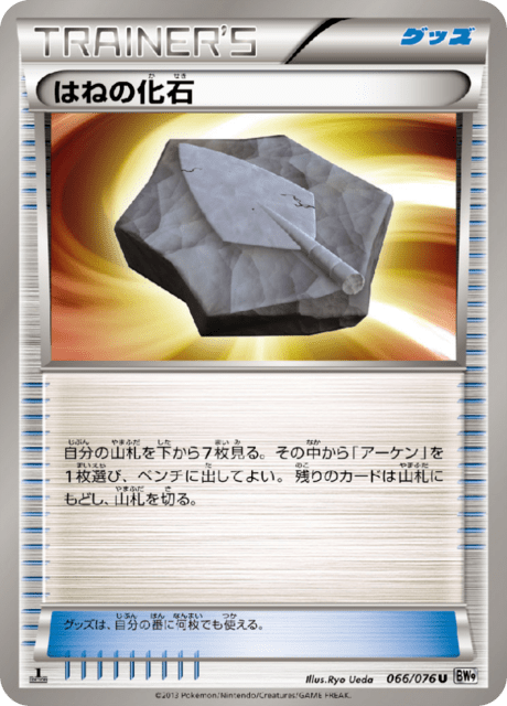 Cover Fossil