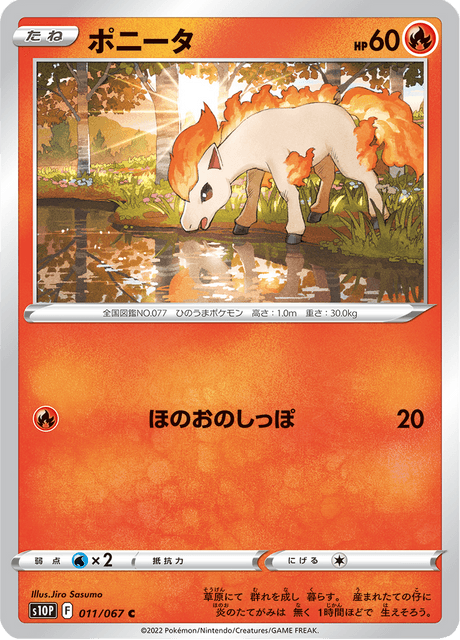 Ponyta