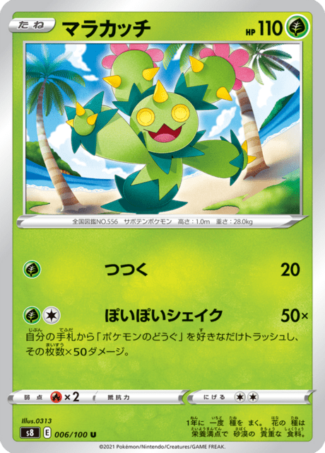 Maractus