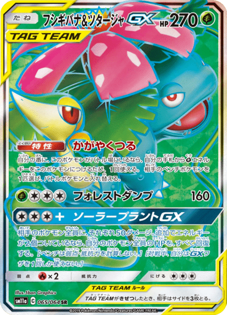 Venusaur & Snivy-GX