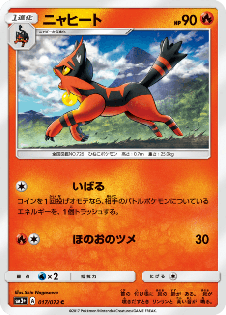 Torracat