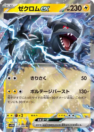 Zekrom ex