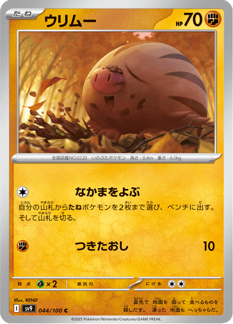 Swinub