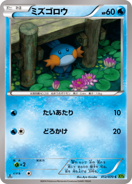 Mudkip