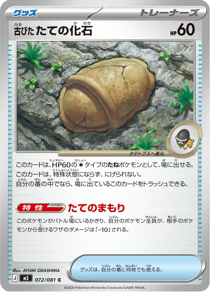 Antique Armor Fossil