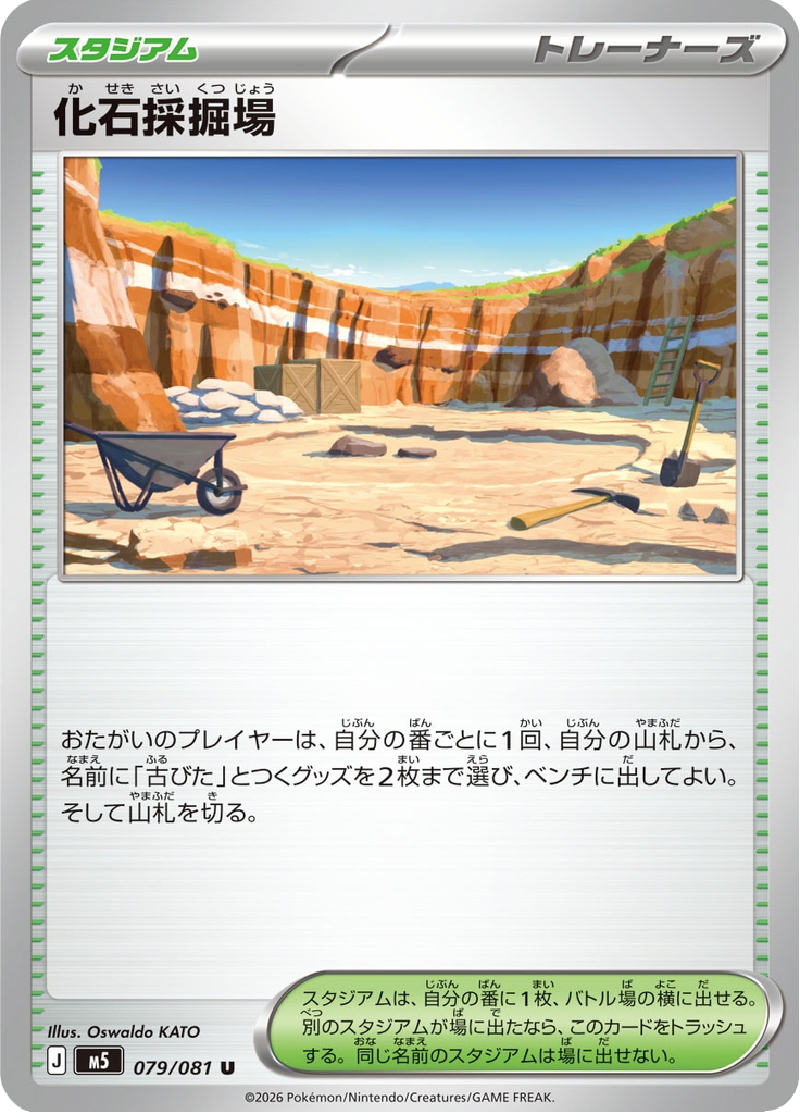 Fossil Excavation Site