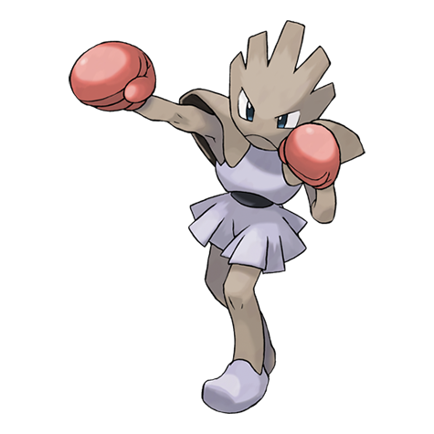 Pokemon #107