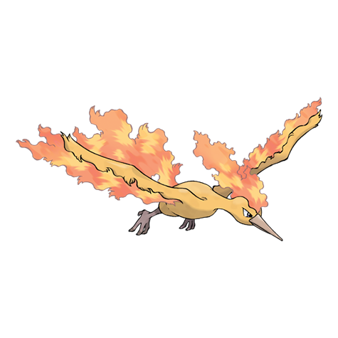 Pokemon #146