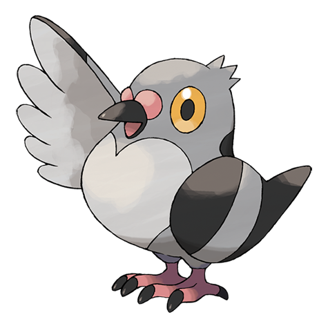 Pokemon #519