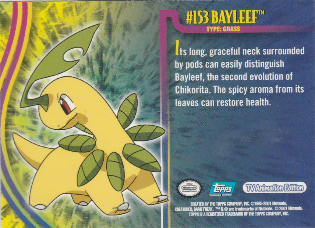 Bayleef achterkant