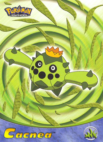 Cacnea