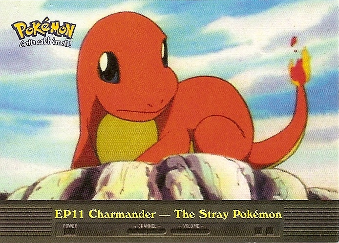 Charmander‚ The Stray Pokemon