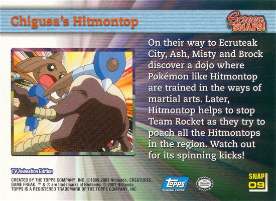Chigusa's Hitmontop achterkant