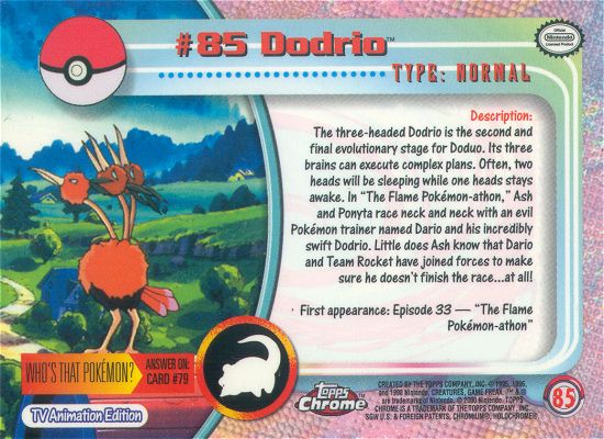 Dodrio achterkant