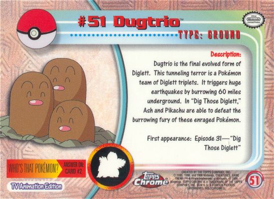 Dugtrio achterkant
