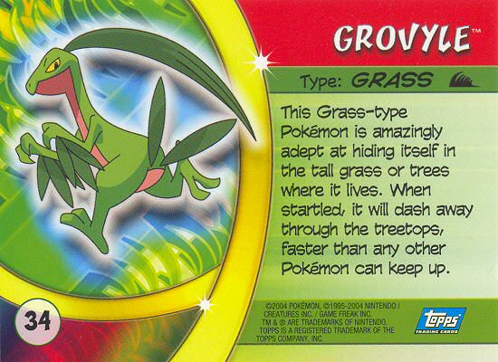 Grovyle achterkant