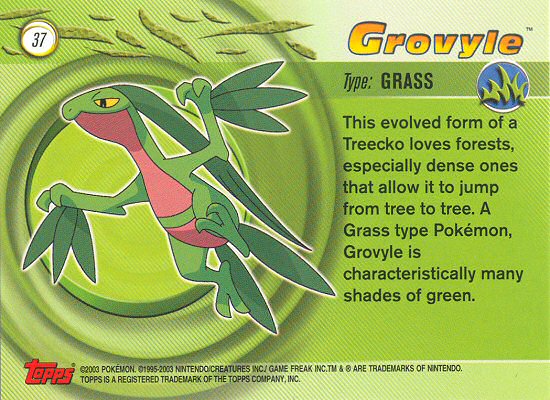 Grovyle achterkant
