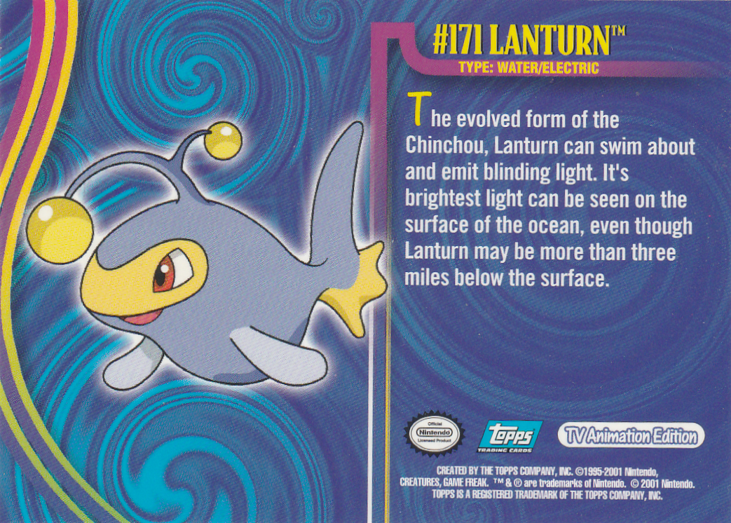 Lanturn achterkant