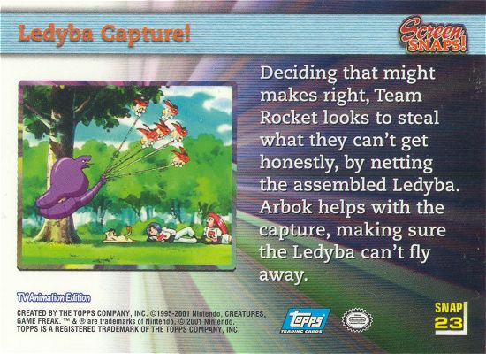 Ledyba Capture! achterkant