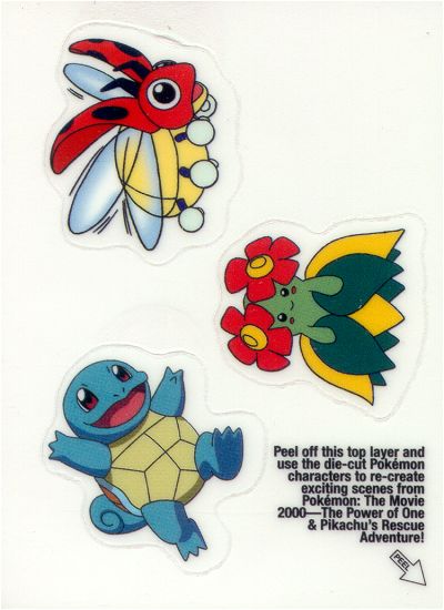 Ledyba and Squirtle achterkant