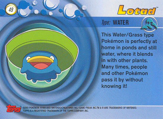 Lotad achterkant