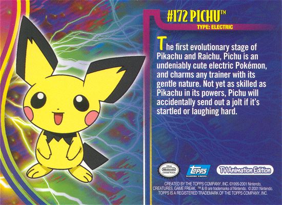 Pichu achterkant