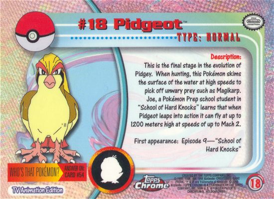 Pidgeot achterkant