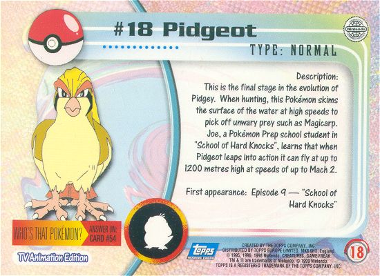 Pidgeot achterkant