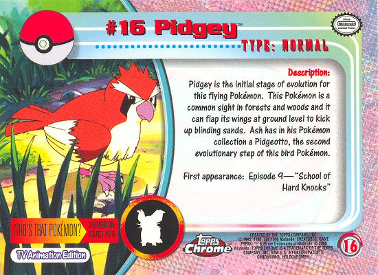 Pidgey achterkant