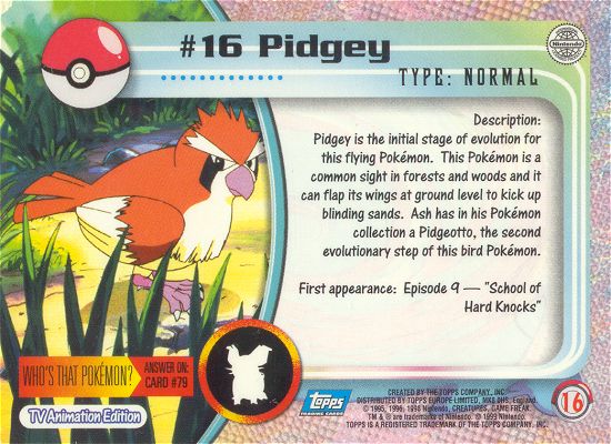 Pidgey achterkant