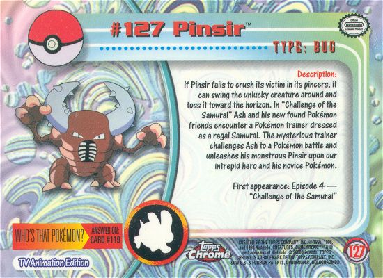 Pinsir achterkant