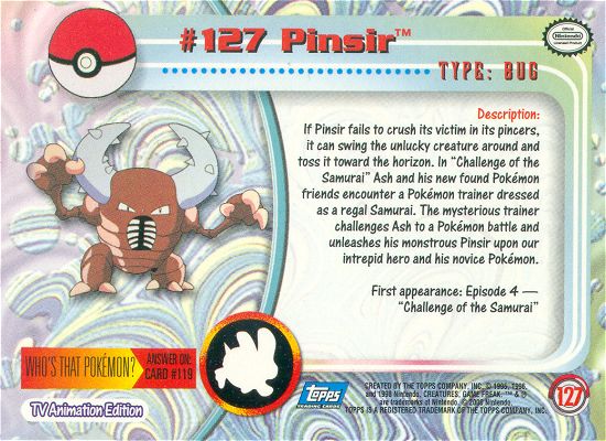 Pinsir achterkant