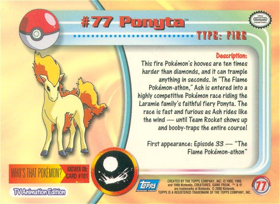 Ponyta achterkant