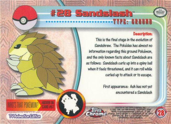 Sandslash achterkant