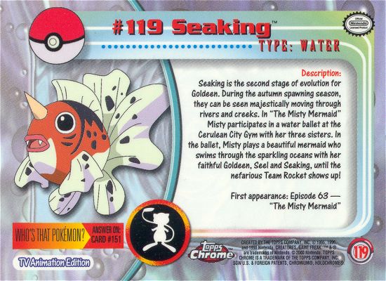 Seaking achterkant