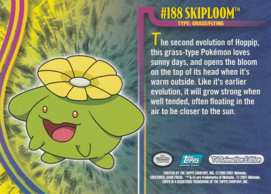 Skiploom achterkant