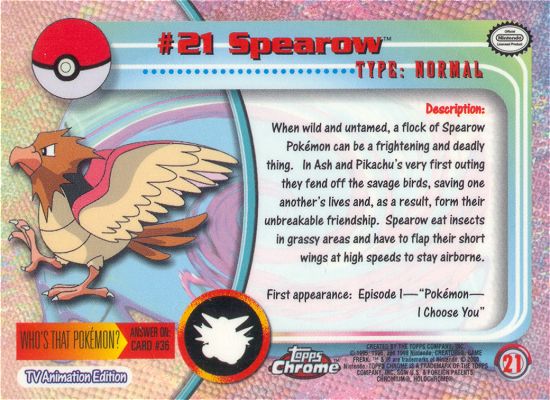 Spearow achterkant