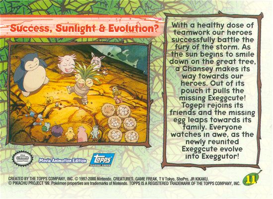 Success, Sunlight & Evolution? achterkant