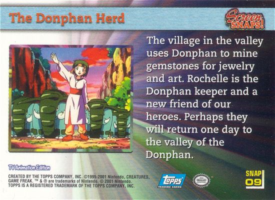 The Donphan Herd achterkant