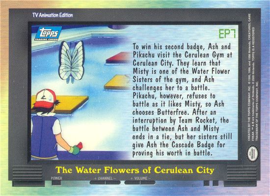 The Water Flowers of Cerulean City achterkant