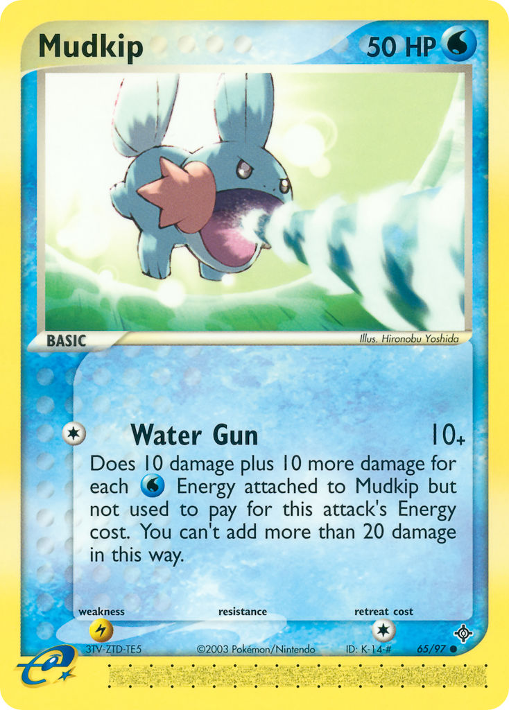 Mudkip-65/97