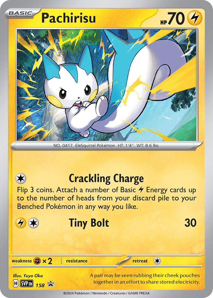 Pachirisu-sv5-158