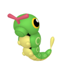 caterpie