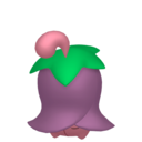 cherrim