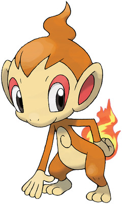 chimchar