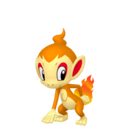 chimchar