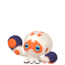 clobbopus