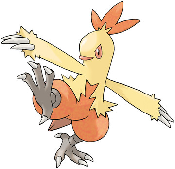 Combusken-Pokedex
