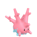 corsola