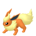 flareon